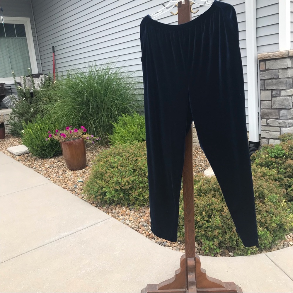 Alfred dunner velvet pants